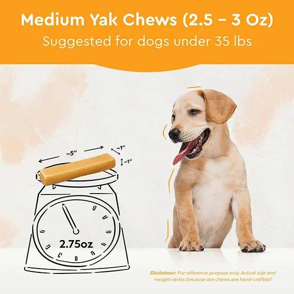 HIMALAYAN YAK CHEWS | ALL SIZES - The Safe Dog Chew Company