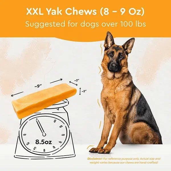 HIMALAYAN YAK CHEWS | ALL SIZES - The Safe Dog Chew Company