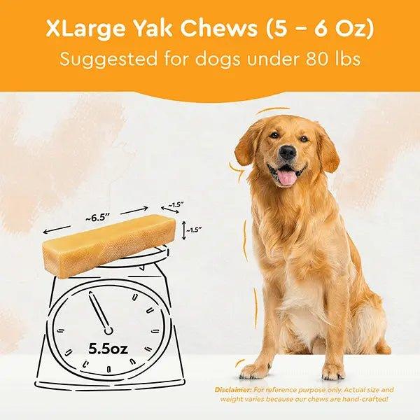 HIMALAYAN YAK CHEWS | ALL SIZES - The Safe Dog Chew Company