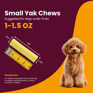 Banana Flavored Himalayan Yak Cheese Dog Chews - Natural Dog Chew by Kathmandus