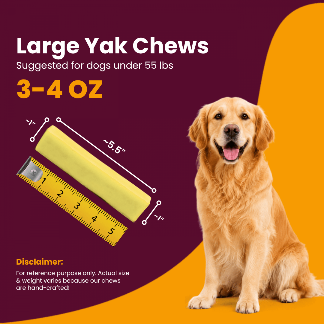 Banana Flavored Himalayan Yak Cheese Dog Chews - Natural Dog Chew by Kathmandus