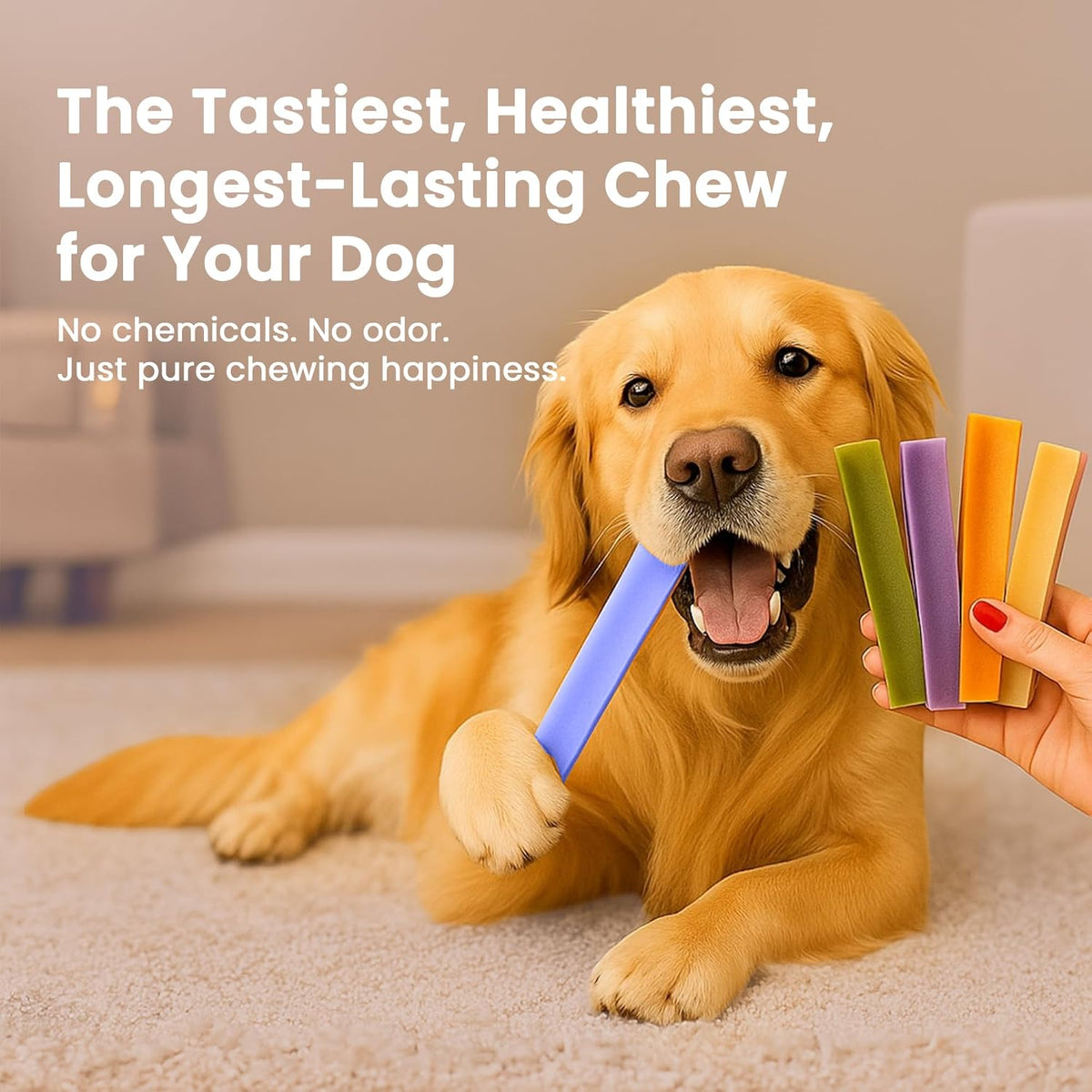 Blueberry Flavored Himalayan Yak Cheese Dog Chews - Natural Dog Chew by Kathmandus