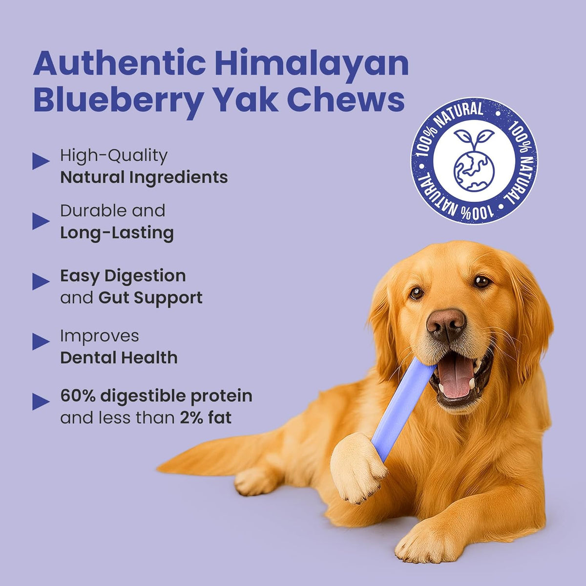 Blueberry Flavored Himalayan Yak Cheese Dog Chews - Natural Dog Chew by Kathmandus