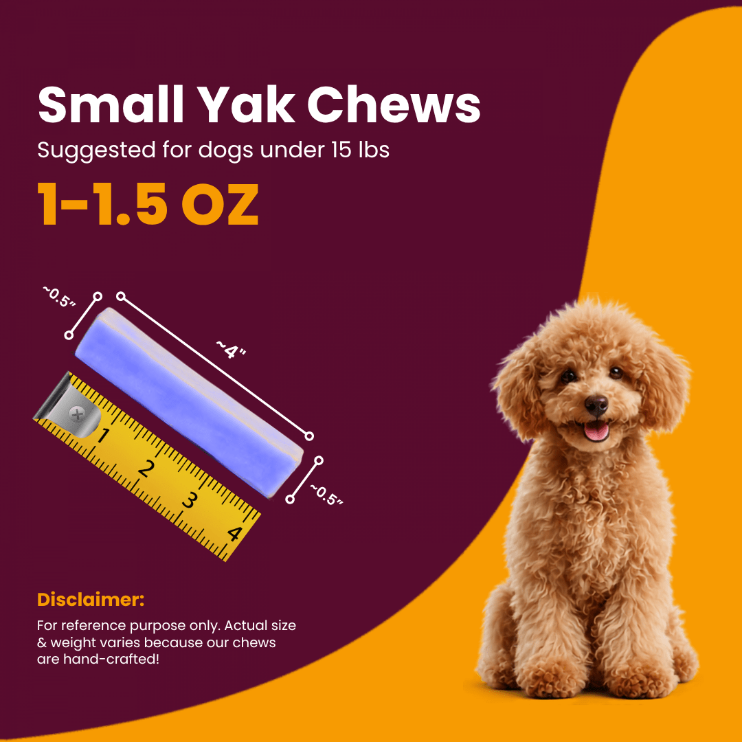 Blueberry Flavored Himalayan Yak Cheese Dog Chews - Natural Dog Chew by Kathmandus