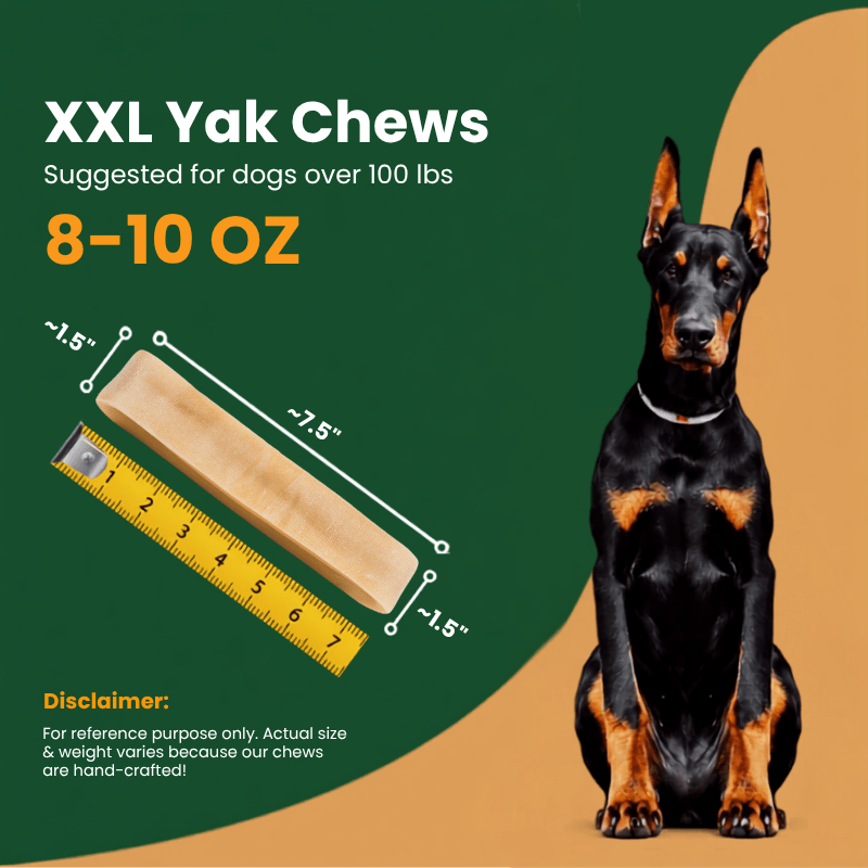 BULK - REGULAR Himalayan Yak Chews (SMALL & LARGE) - Natural Dog Chew by Kathmandus