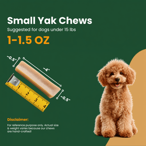 BULK - REGULAR Himalayan Yak Chews (SMALL & LARGE) - Natural Dog Chew by Kathmandus