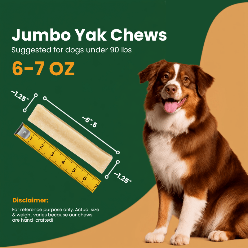 BULK - REGULAR Himalayan Yak Chews (SMALL & LARGE) - Natural Dog Chew by Kathmandus