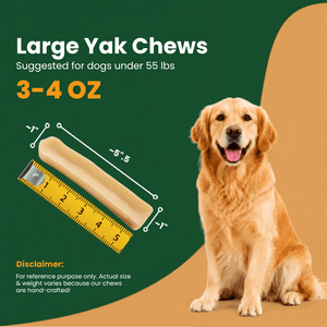 BULK - REGULAR Himalayan Yak Chews (SMALL & LARGE) - Natural Dog Chew by Kathmandus