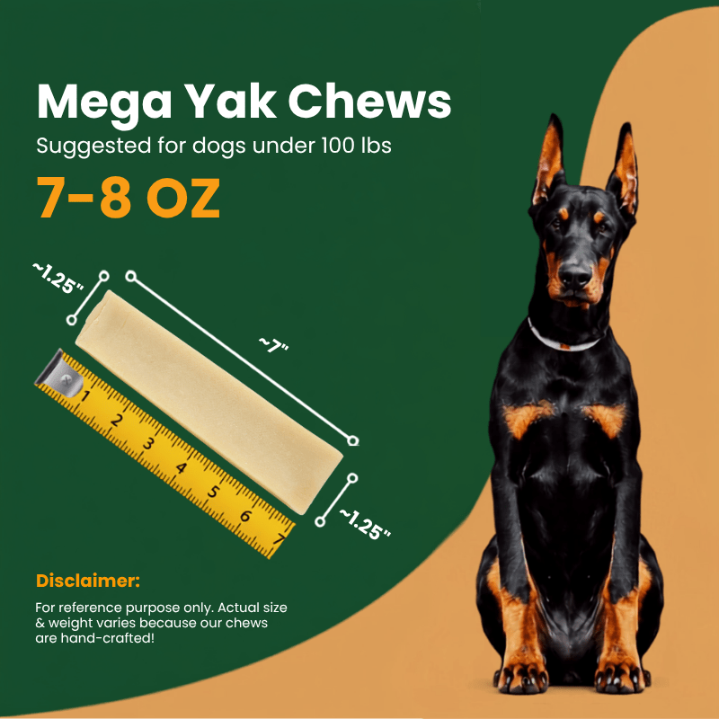 BULK - REGULAR Himalayan Yak Chews (SMALL & LARGE) - Natural Dog Chew by Kathmandus