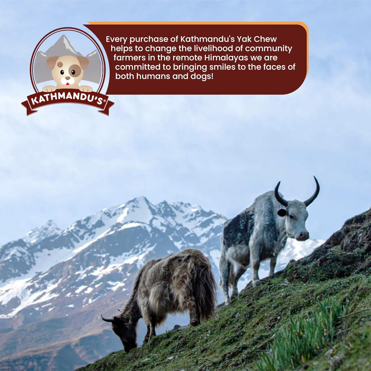Himalayan Yak Cheese - Dog Food Topper - Natural Dog Chew by Kathmandus