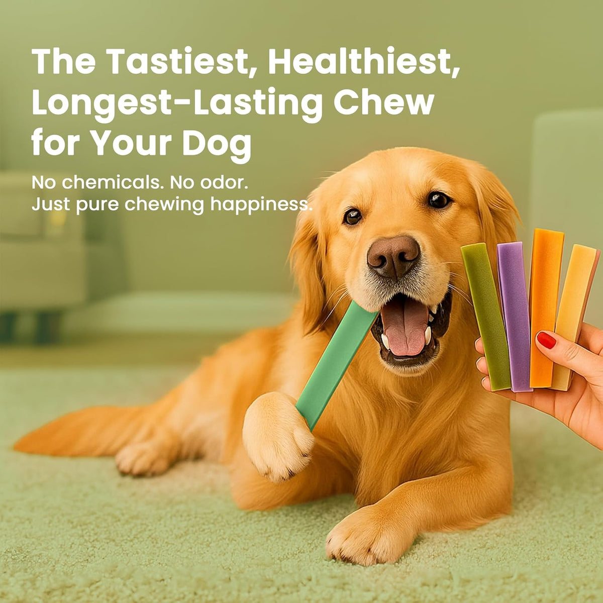Mint Flavored Himalayan Yak Cheese Dog Chews - Natural Dog Chew by Kathmandus