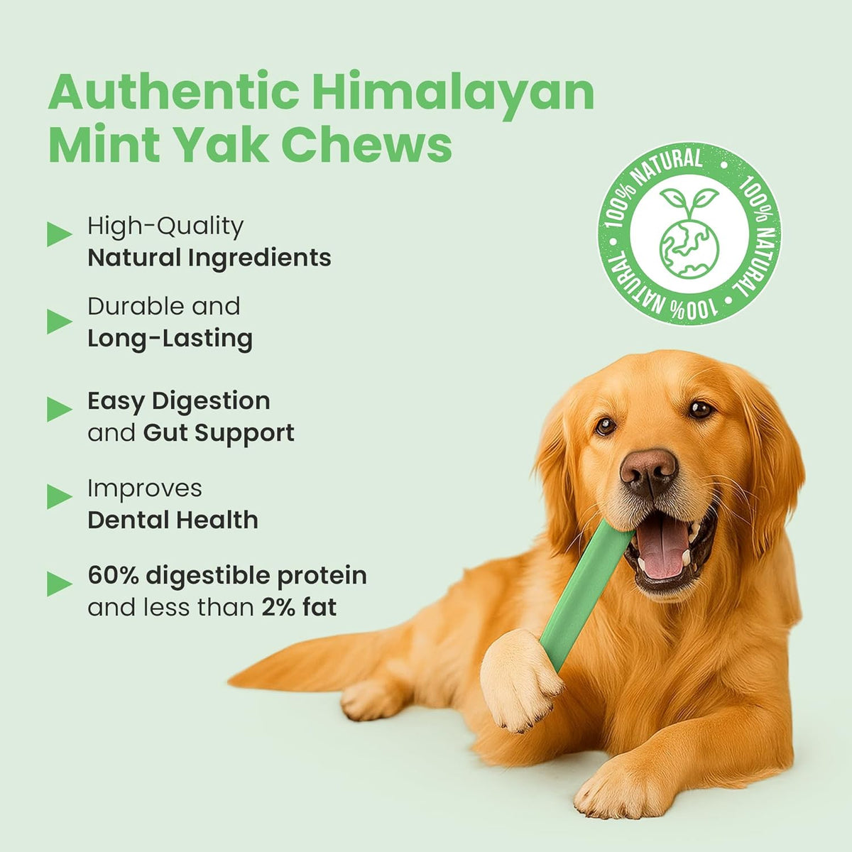 Mint Flavored Himalayan Yak Cheese Dog Chews - Natural Dog Chew by Kathmandus