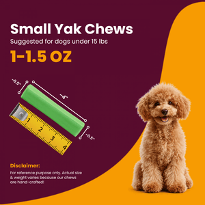 Mint Flavored Himalayan Yak Cheese Dog Chews - Natural Dog Chew by Kathmandus