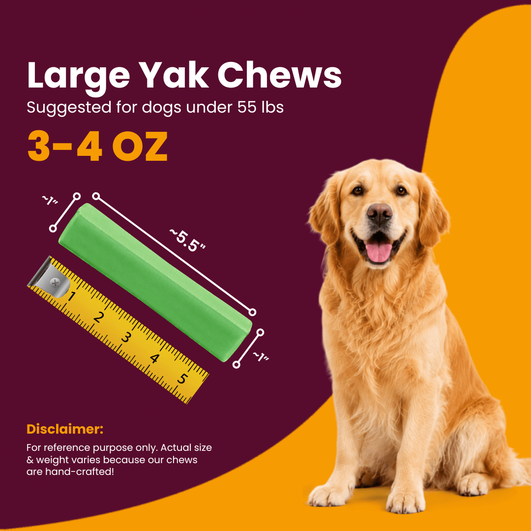 Mint Flavored Himalayan Yak Cheese Dog Chews - Natural Dog Chew by Kathmandus