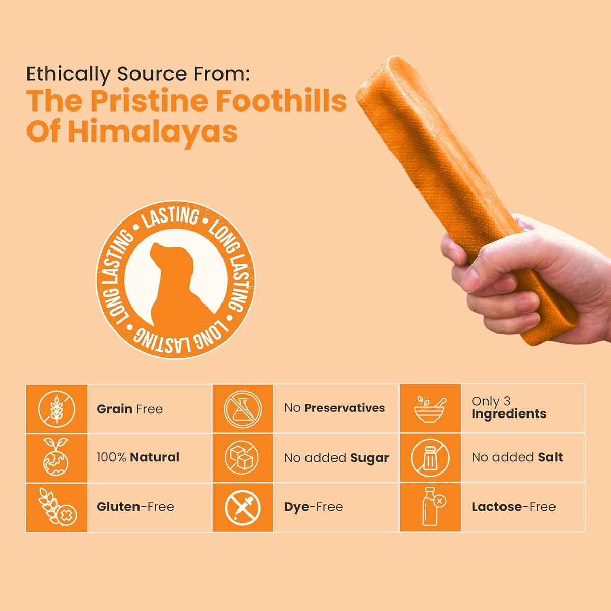 Hand holding a pumpkin flavored Himalayan yak cheese dog cheese chew showing natural ingredient benefits- Natural Dog Chew by Kathmandus