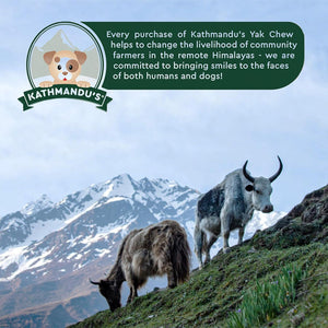 Kathmandu's Himalayan yak chews brand impact graphic showing yaks grazing in Himalayan mountains with community farmer support mission statement - Natural Dog Chew by Kathmandus