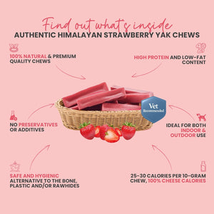 Strawberry Flavored Himalayan Yak Cheese Dog Chews - Natural Dog Chew by Kathmandus