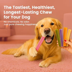 Strawberry Flavored Himalayan Yak Cheese Dog Chews - Natural Dog Chew by Kathmandus