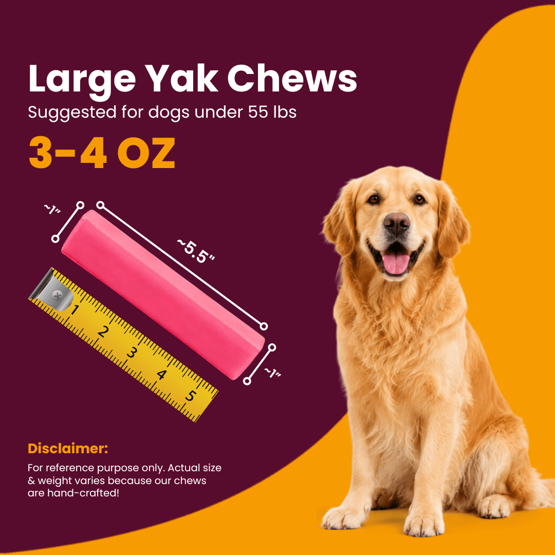 Strawberry Flavored Himalayan Yak Cheese Dog Chews - Natural Dog Chew by Kathmandus