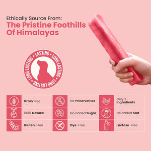 Strawberry Flavored Himalayan Yak Cheese Dog Chews - Natural Dog Chew by Kathmandus