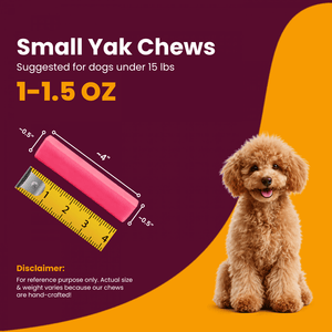 Strawberry Flavored Himalayan Yak Cheese Dog Chews - Natural Dog Chew by Kathmandus