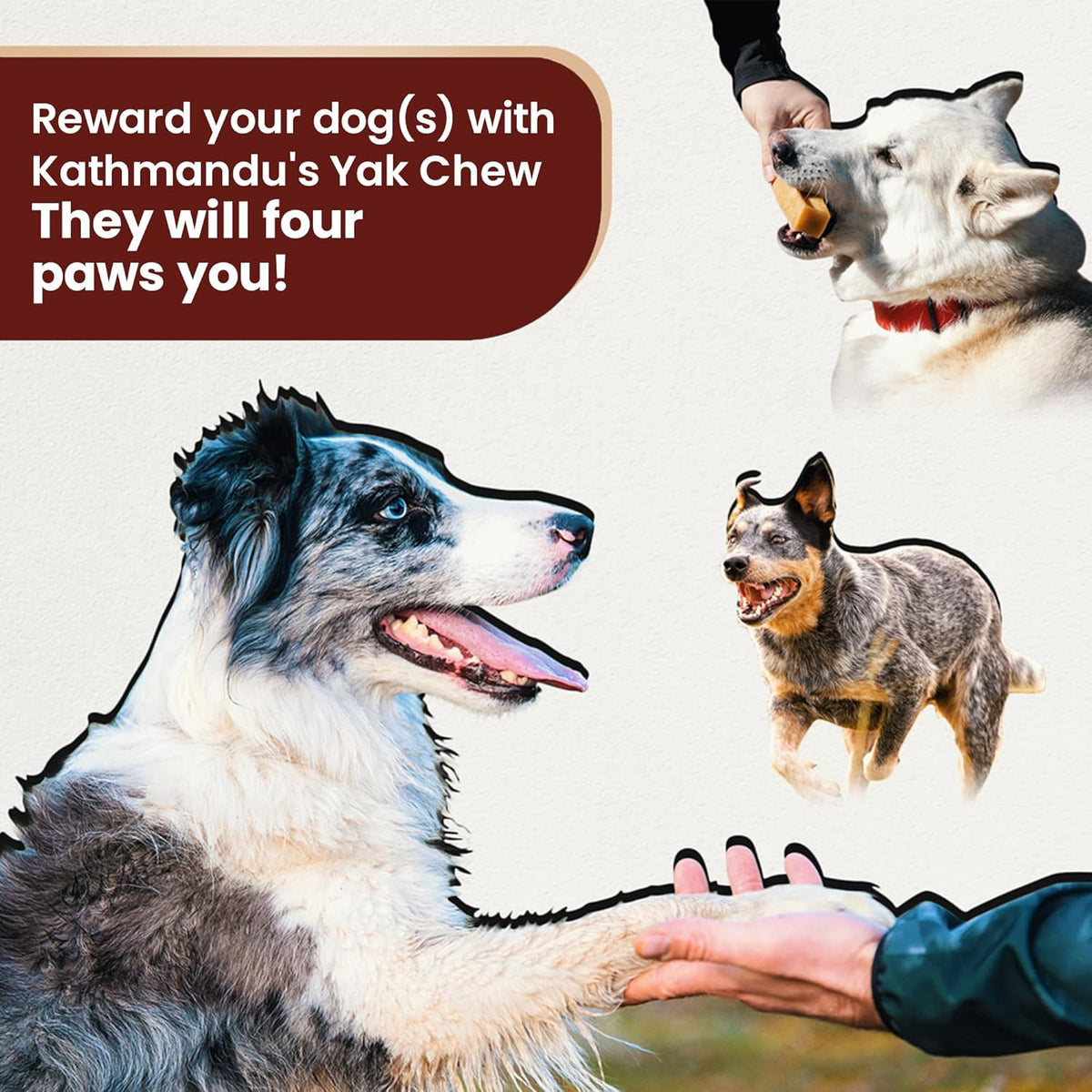 Yak Chew Nuggets - Himalayan Dog Treats - Natural Dog Chew by Kathmandus