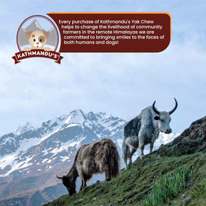Yak Chew Nuggets - Himalayan Dog Treats - Natural Dog Chew by Kathmandus